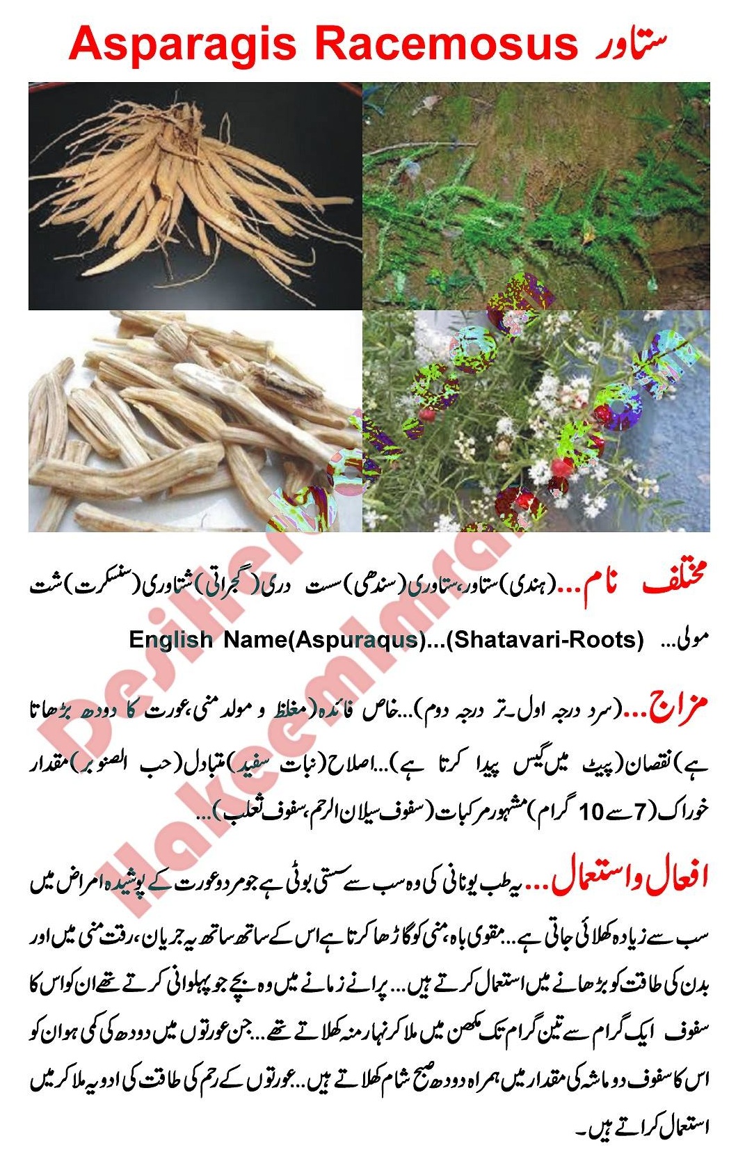hakeemimran.com-Stawar A Desi Usefull Herbs 1