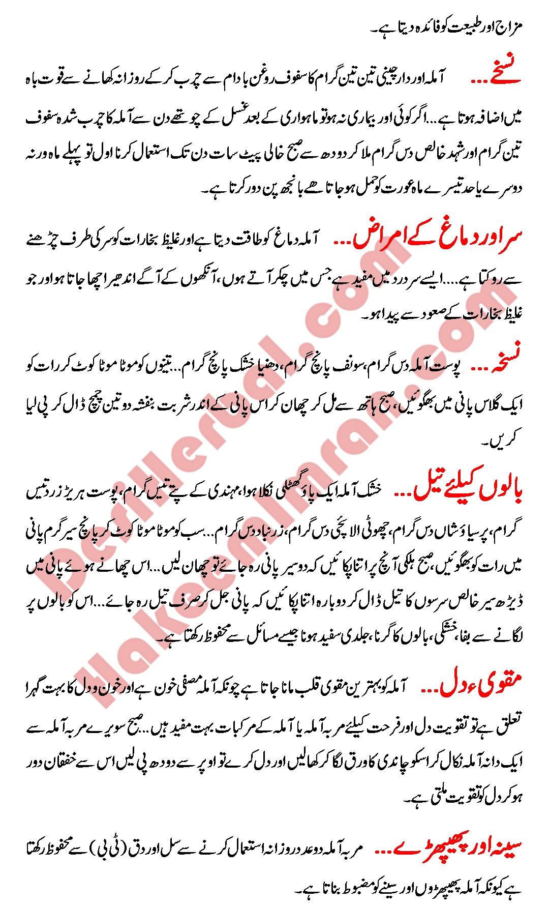 hakeemimran.com-Amla (Gooseberry) Kiya hy Aur Amla Benefits in Urdu 2