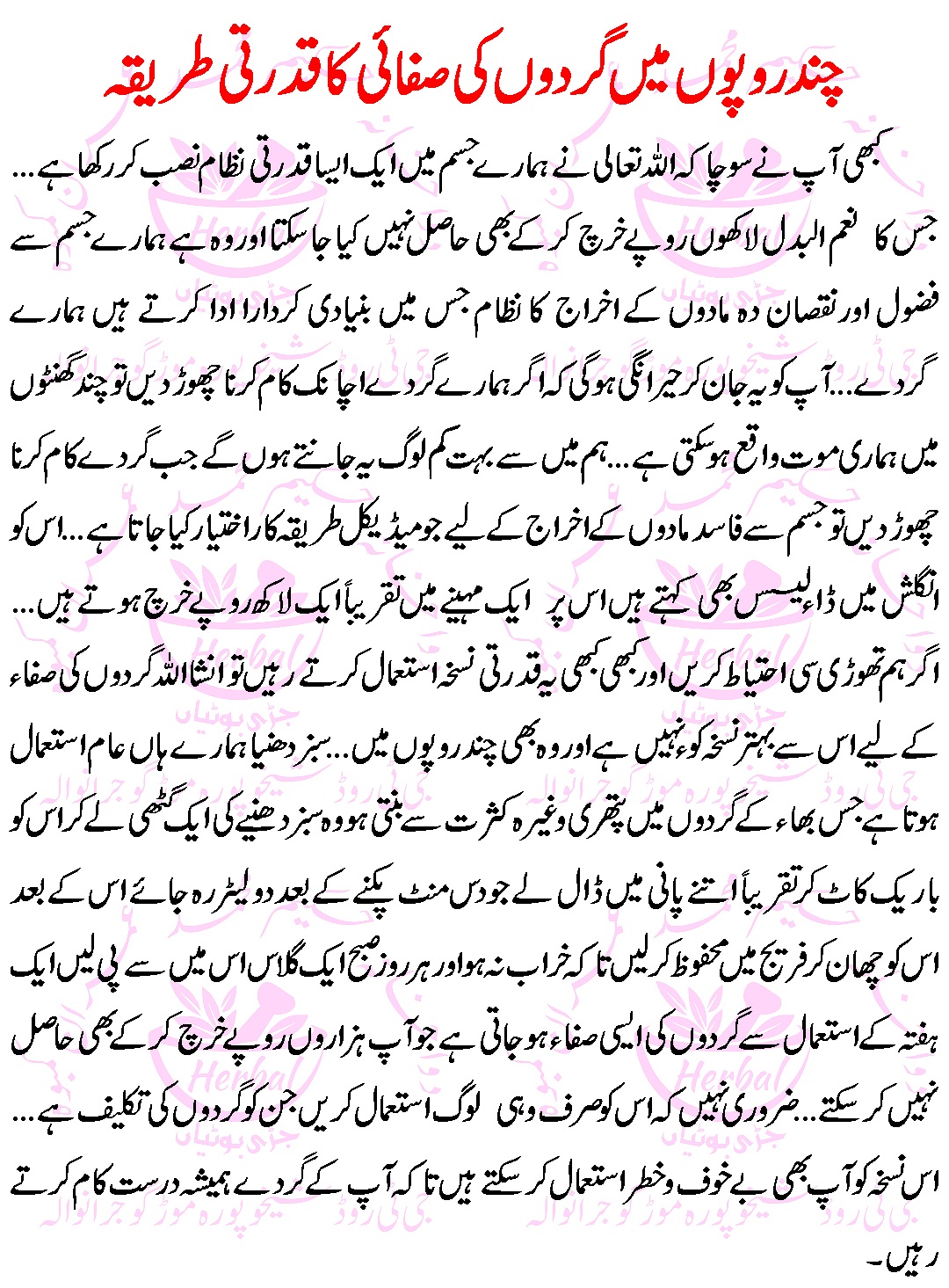 Best Nuskha For Cleansing your Kidneys ( Gurday Ki Safai ) in Urdu