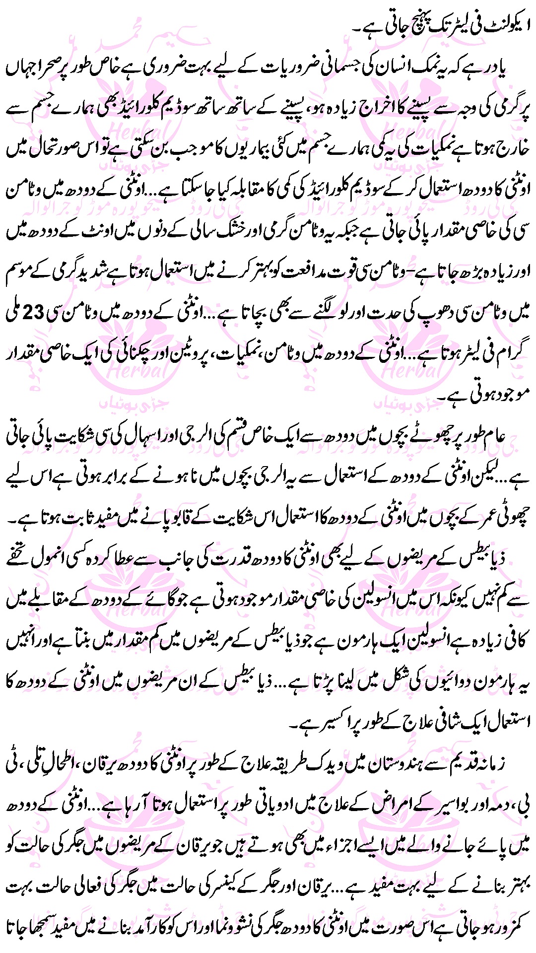 Oontni Kay Doodh kay Faiday (Camel Milk Benefits) in Urdu 2