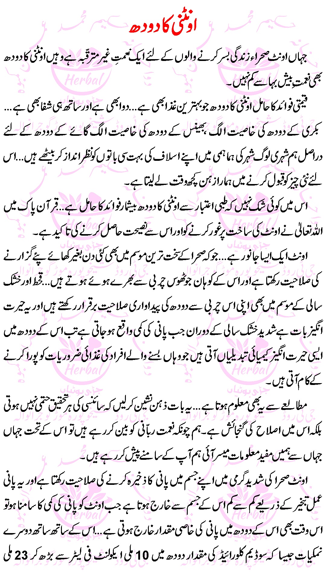 Oontni Kay Doodh kay Faiday (Camel Milk Benefits) in Urdu 01