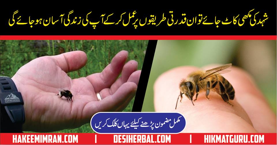 Shehed ki Makhi ka Katna Ka Ilaj Urdu Home Tips for Bee Sting