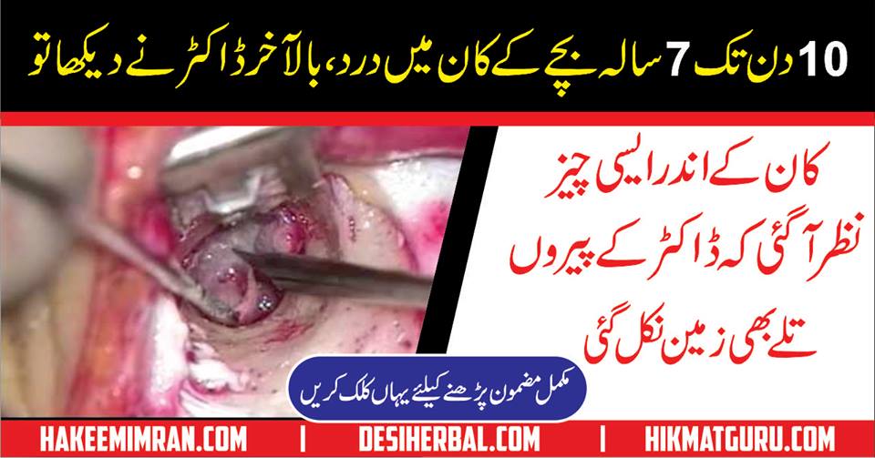 Kaan Ki Bimariyan ( Ear Problems) Gharelu Health Tips In Urdu