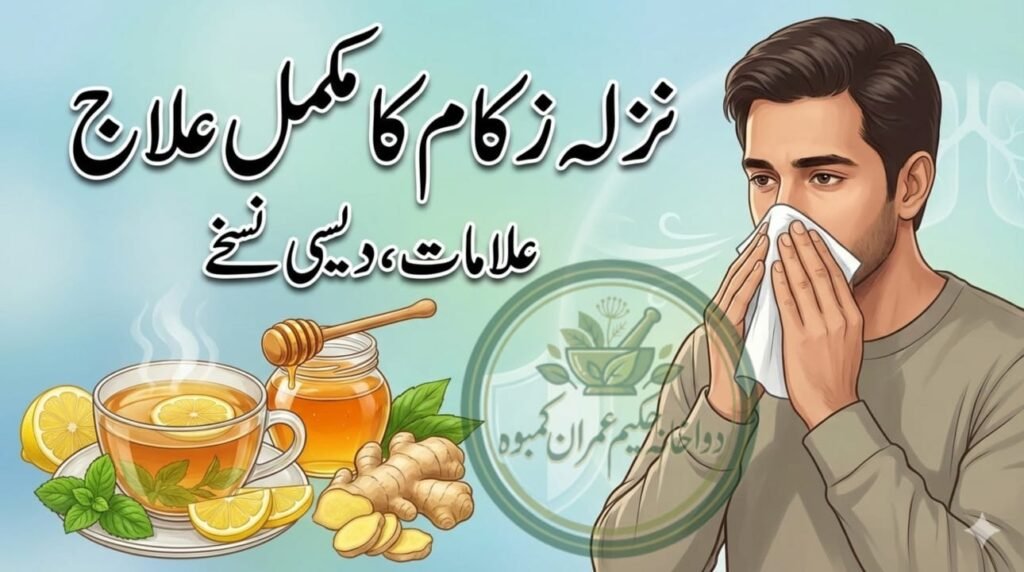 httpshakeemimran.comnazla-zukam-caus…mptoms-desi-ilaj