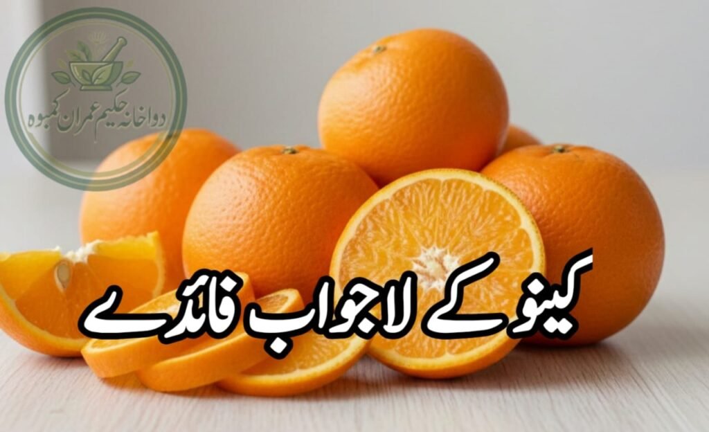 کینو کیا ہے مزاج، فوائد اور کن امراض میں مفید ہے