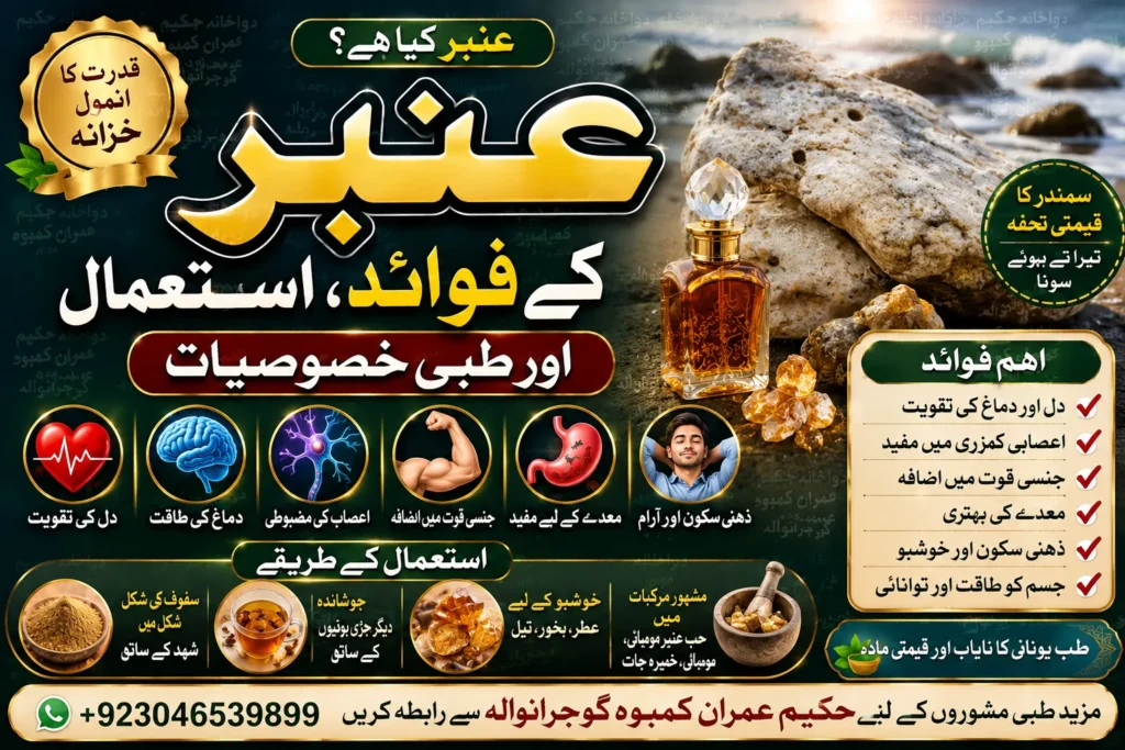 httpshakeemimran.comanbar-ke-fawaid-aur-istemal